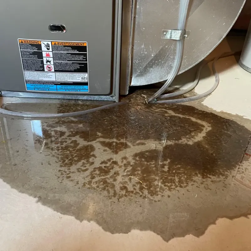 Appliance Leak Cleanup in Mint Hill, NC